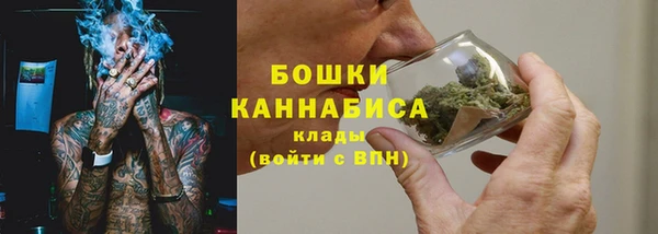 PSILOCYBIN Абинск