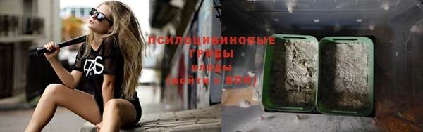 PSILOCYBIN Абинск