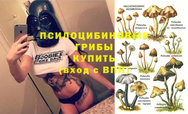 дживик Алзамай
