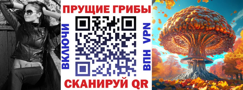мега как войти  Татарск  Галлюциногенные грибы мицелий 